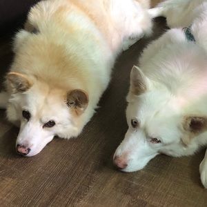 Meet your Posher, Linda